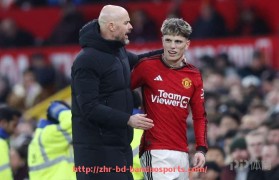 半岛体育-英超各球队营收情况分析及财政健康指数对比